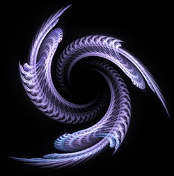 This feathery blue and lavender three-armed spiral glows against its black background. Look closely -- there are spirals spinning off spirals. What a great graphic design element or logo for some forward-thinking organization!